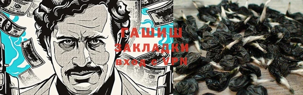 спиды Магадан