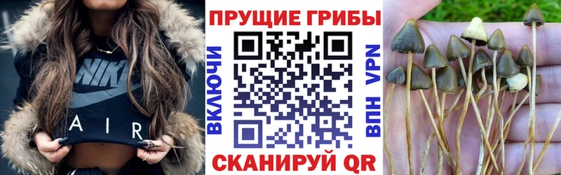 Купить закладки  Апшеронск  Псилоцибиновые грибы ЛСД 
